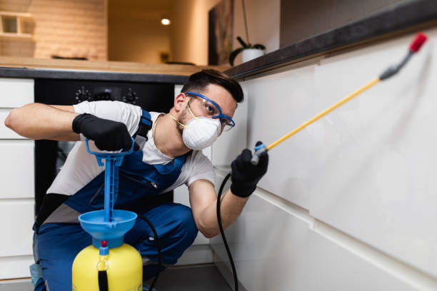 Best Flea Control Services  in Farmersville, OH