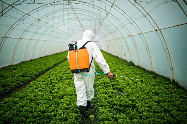 Best Pest Removal Services  in Farmersville, OH