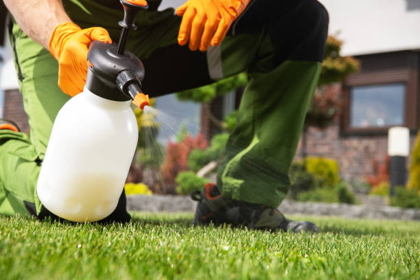 Best Best Pest Control Companies  in Farmersville, OH