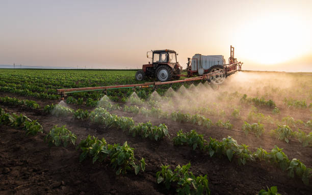 Best Insect Control  in Farmersville, OH