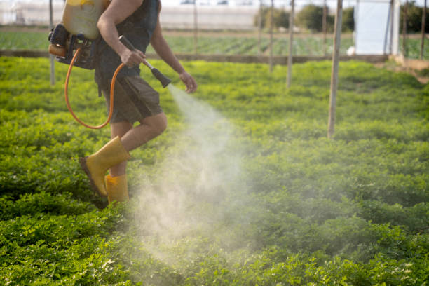Best Pest Inspection Near Me  in Farmersville, OH