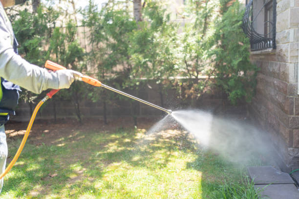 Best Cockroach Control Services  in Farmersville, OH