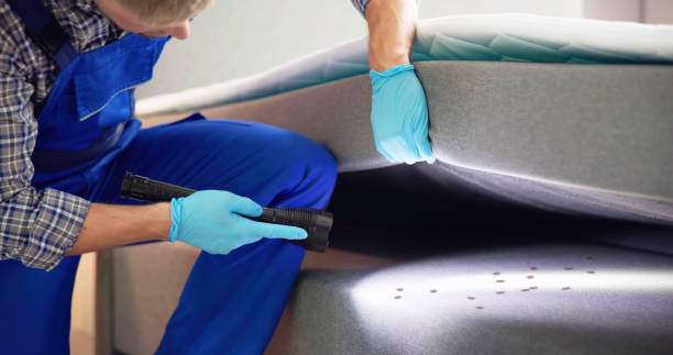 Best Residential Pest Control  in Farmersville, OH
