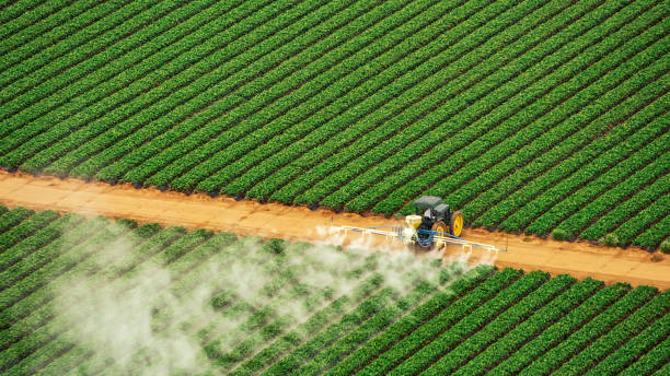 Best Best Pest Control Companies  in Farmersville, OH