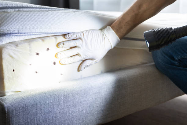 Best Affordable Pest Control Services  in Farmersville, OH