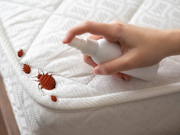 Best Residential Pest Control  in Farmersville, OH