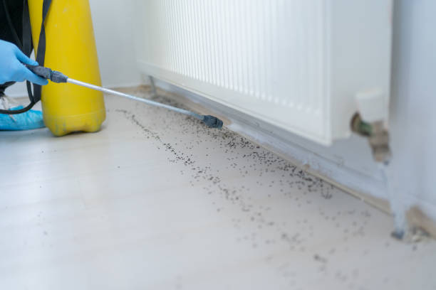 Best Bed Bug Extermination  in Farmersville, OH